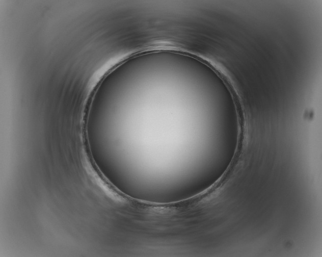 X0000113211333200909241414