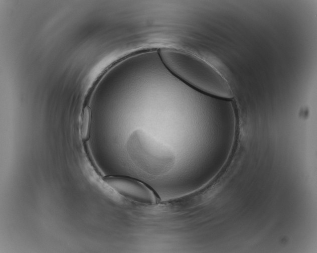 X0000113211334200909241414