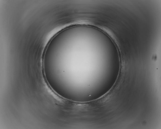 X0000113211335200909241414