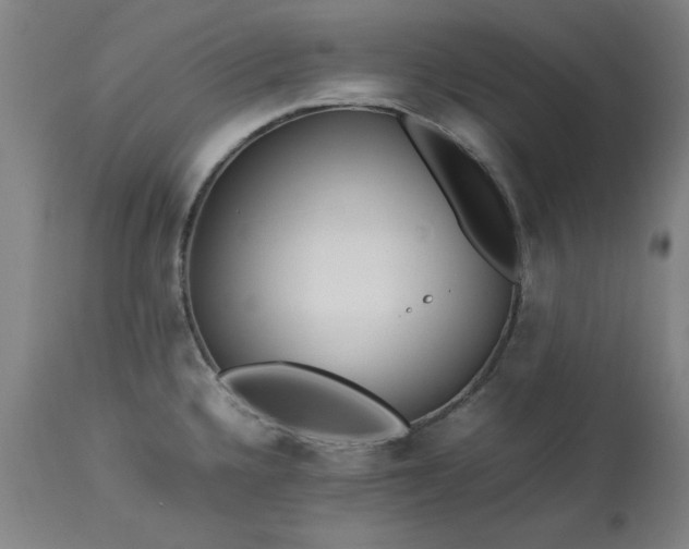 X0000113211336200909241414