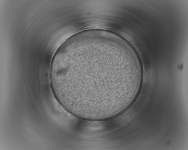 X0000113211338200909241414