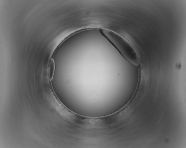 X0000113211340200909241414