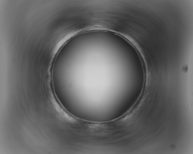 X0000113211341200909241414