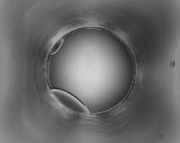 X0000113211342200909241414