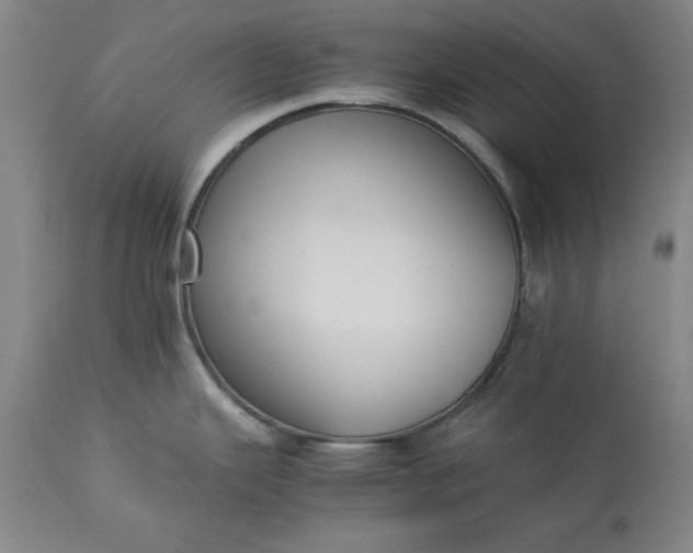 X0000113211343200909241414