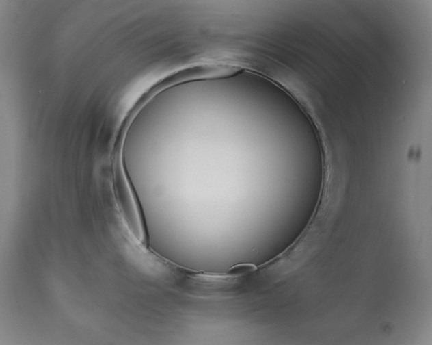 X0000113211344200909241414