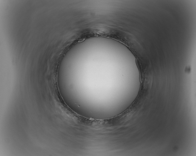 X0000113211345200909241413