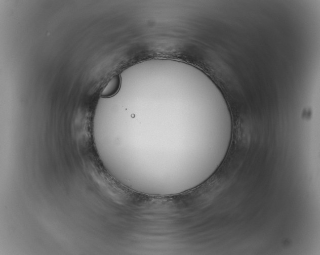 X0000113211346200909241413