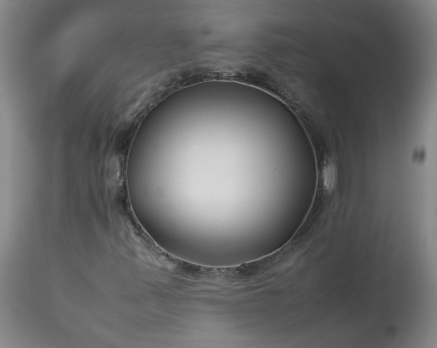 X0000113211347200909241413