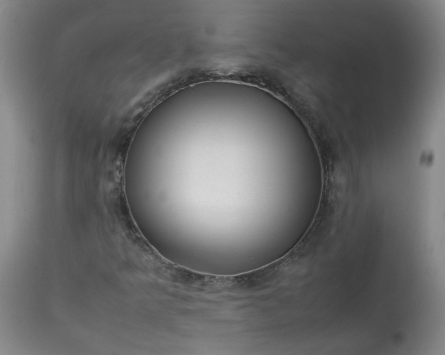 X0000113211349200909241413