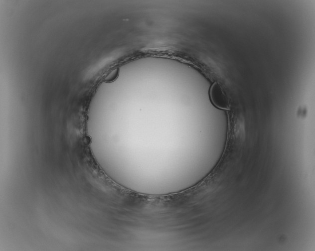 X0000113211350200909241413