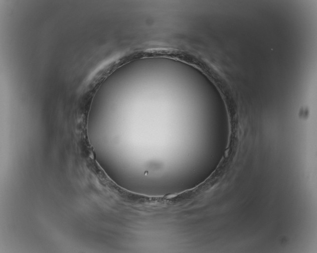 X0000113211351200909241413