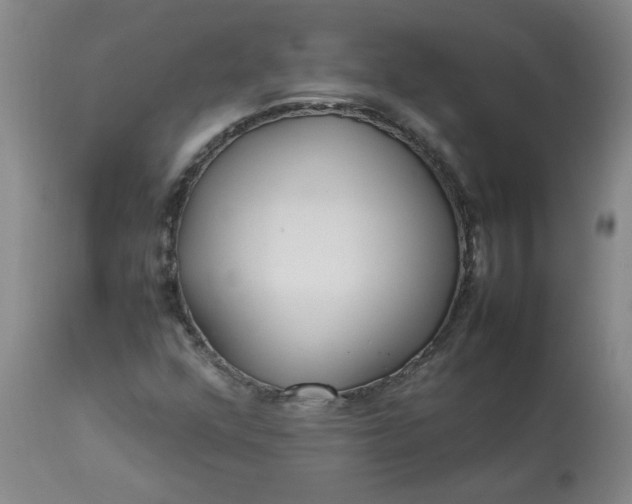 X0000113211352200909241413