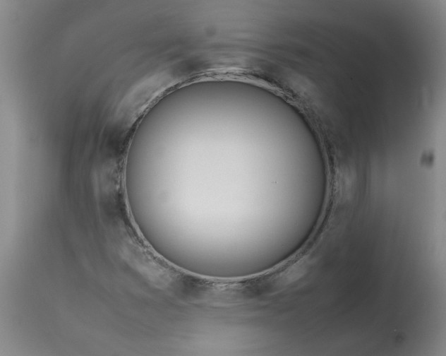 X0000113211353200909241413