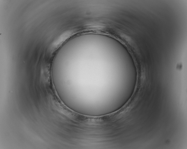 X0000113211354200909241413