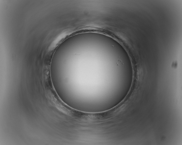 X0000113211355200909241413