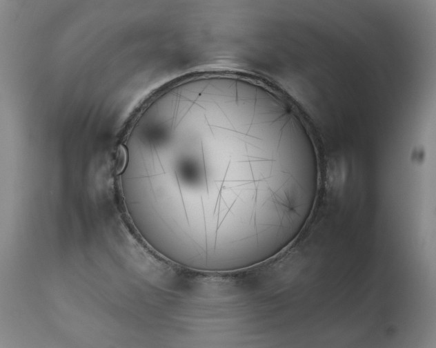 X0000113211356200909241413