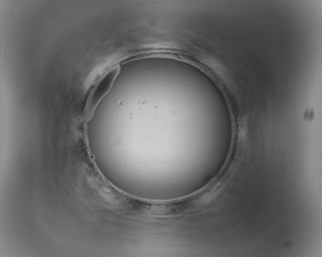 X0000113211357200909241413