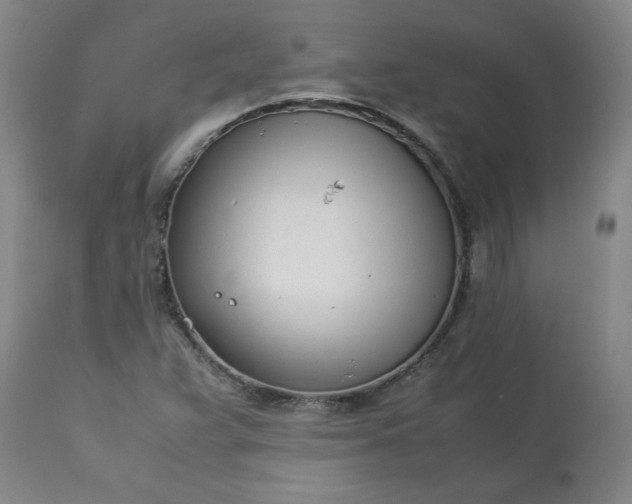 X0000113211359200909241413