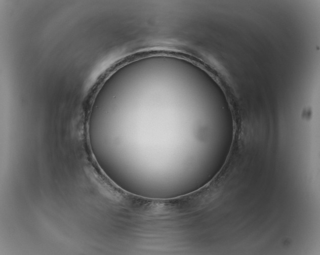 X0000113211360200909241413