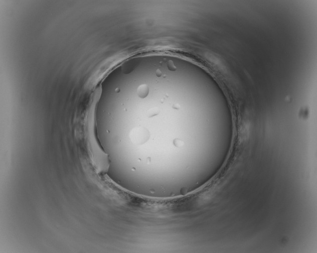 X0000113211361200909241413