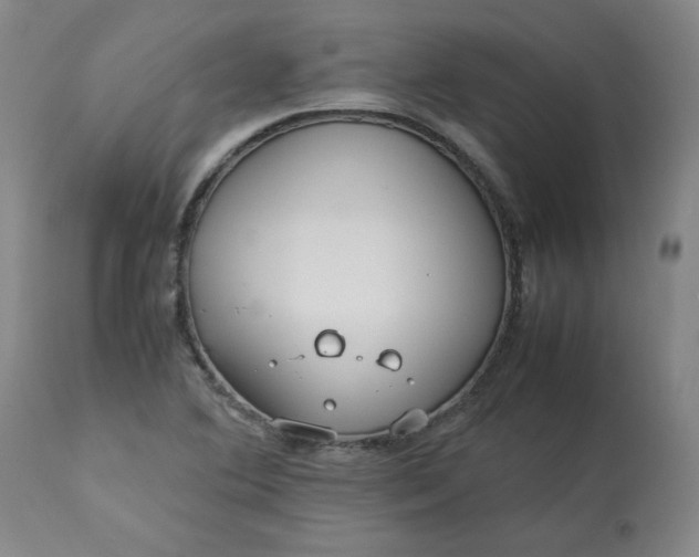 X0000113211364200909241413