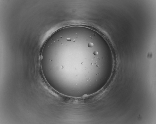 X0000113211365200909241413