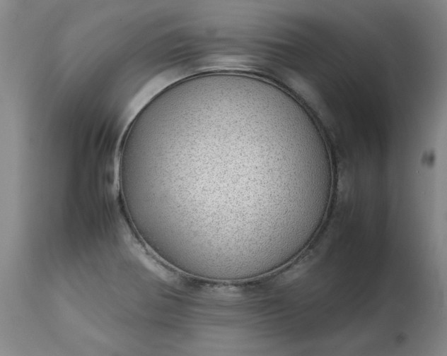 X0000113211370200909241413