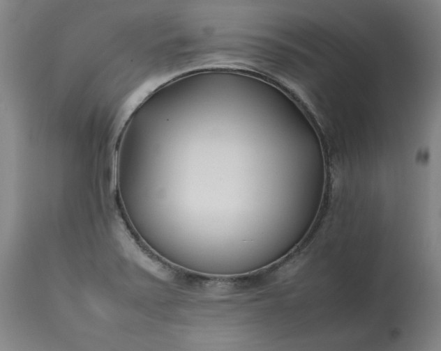 X0000113211371200909241413