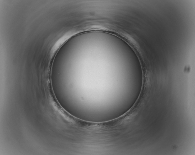 X0000113211373200909241413