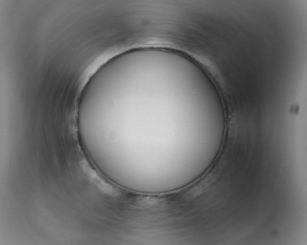 X0000113211374200909241413