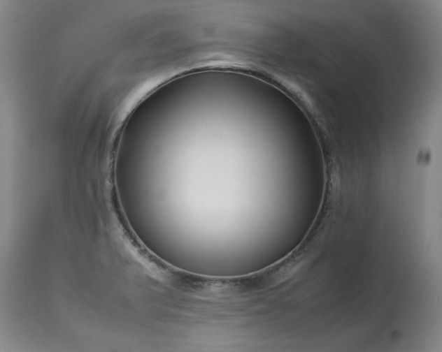 X0000113211375200909241413