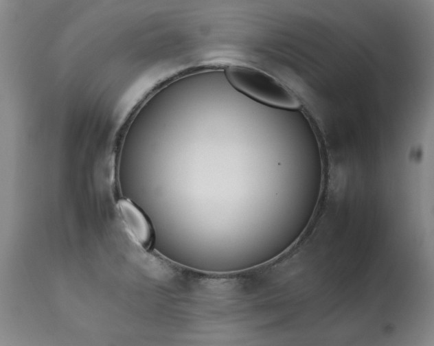 X0000113211376200909241413