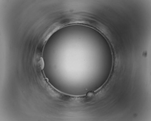 X0000113211377200909241413