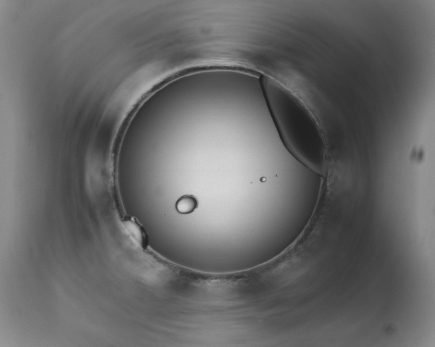 X0000113211380200909241413