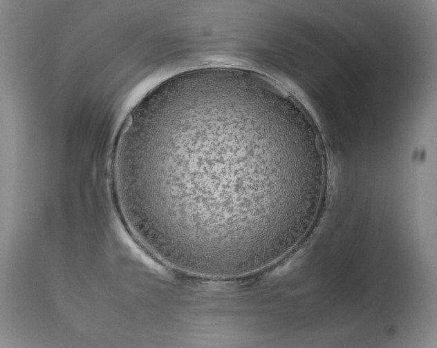 X0000113211381200909241413