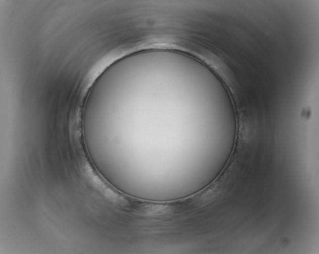 X0000113211382200909241413