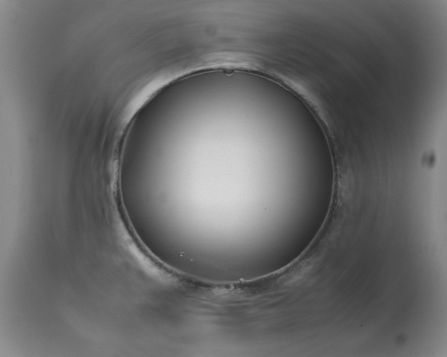 X0000113211383200909241413