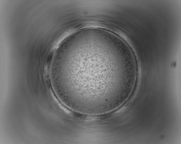 X0000113211385200909241413