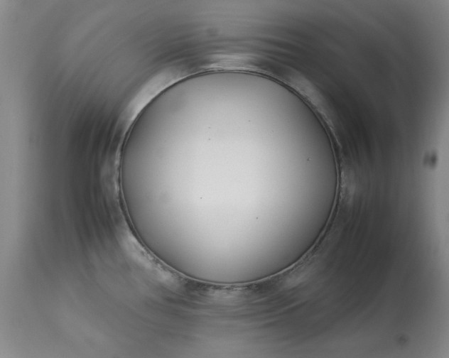 X0000113211386200909241413