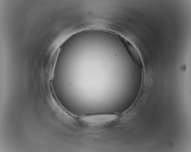 X0000113211389200909241413