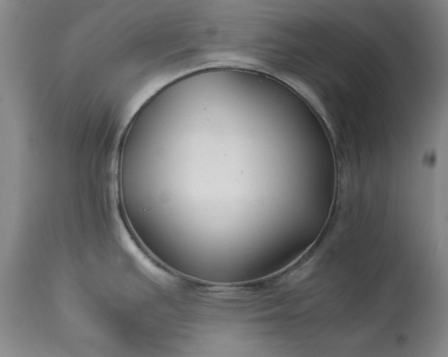 X0000113211391200909241412