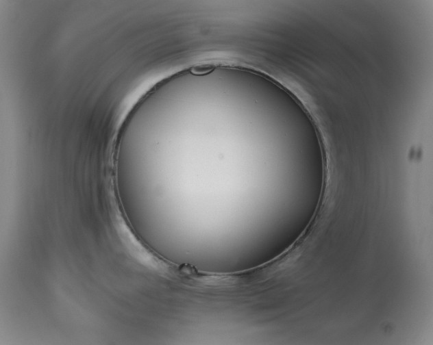 X0000113211392200909241412