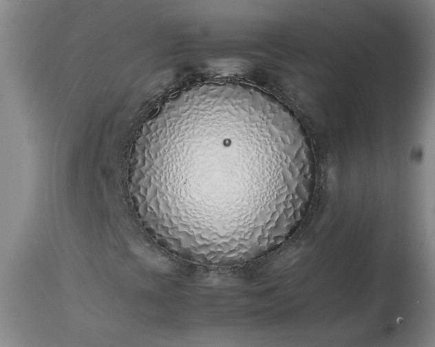 X0000113211393200909241412