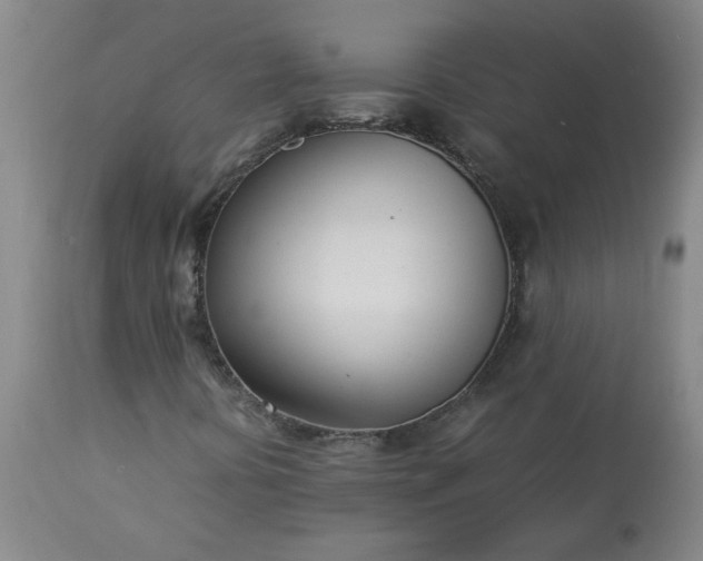 X0000113211394200909241412