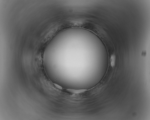 X0000113211395200909241412