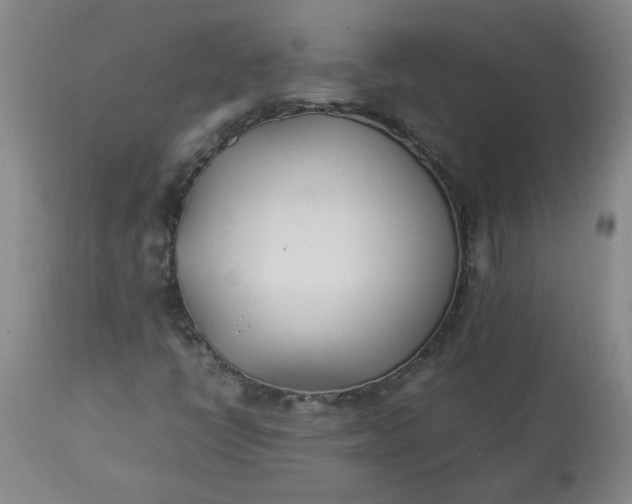 X0000113211398200909241412