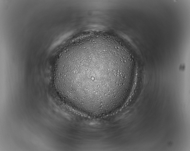 X0000113211399200909241412