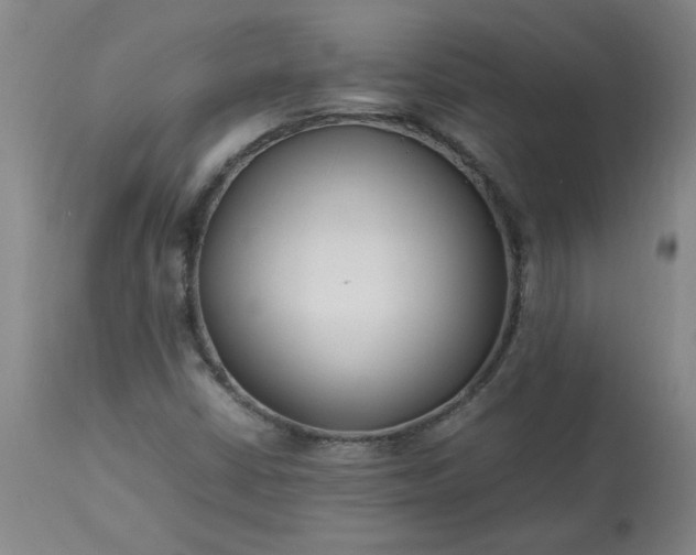 X0000113211402200909241412