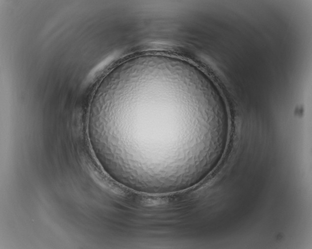 X0000113211403200909241412